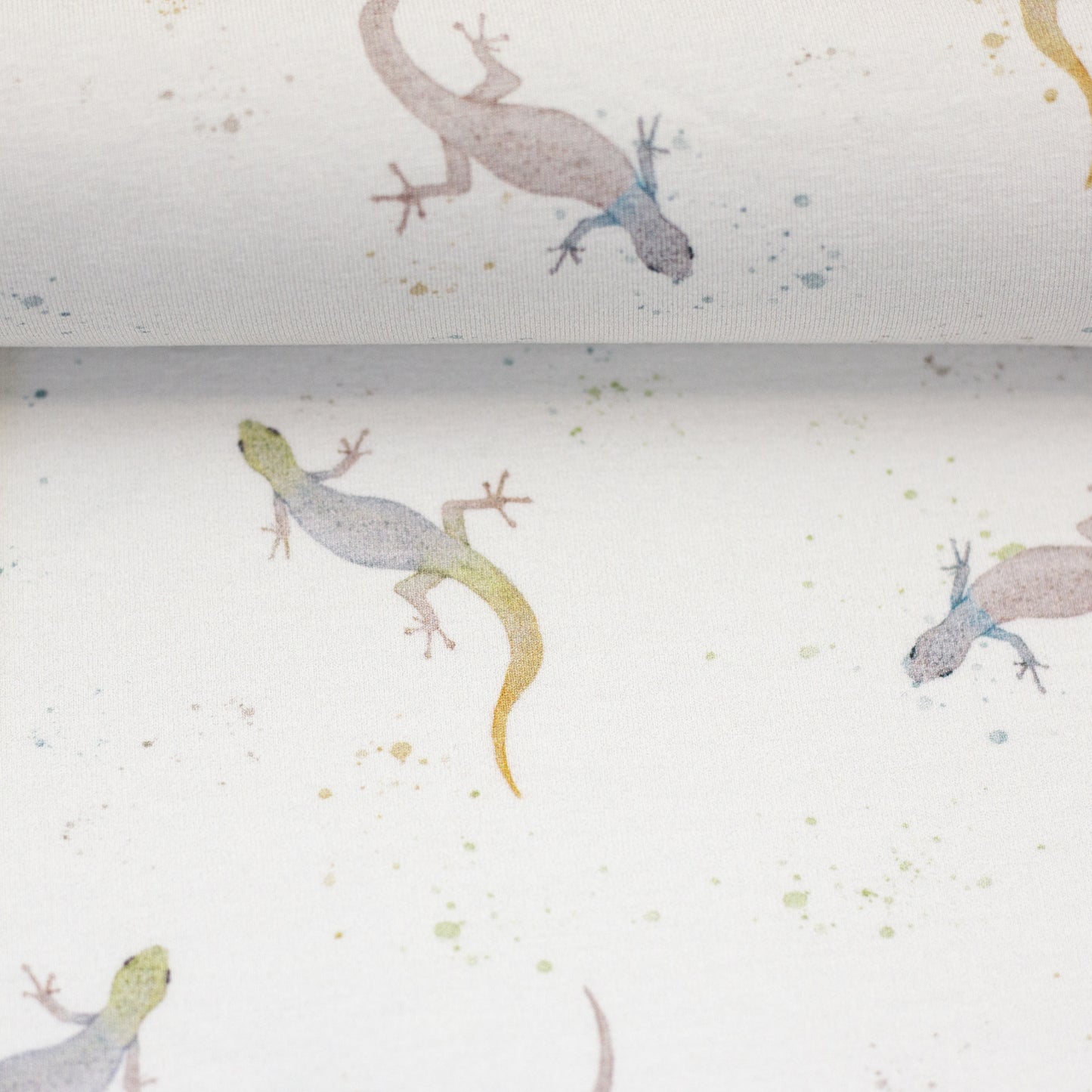Jersey, Geckos, naturweiß